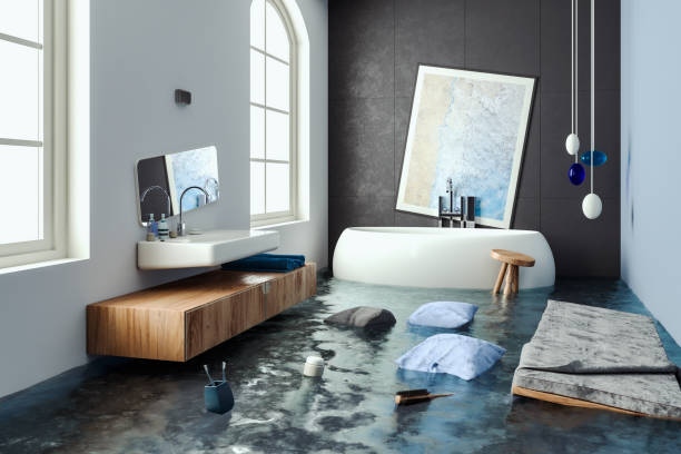 Professional Water damage restoration in Wabasha, MN