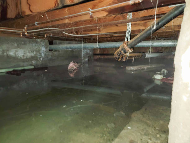 Professional Water damage restoration in Wabasha, MN