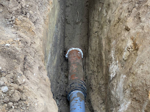 Best Sewage cleanup and water damage restoration  in Wabasha, MN