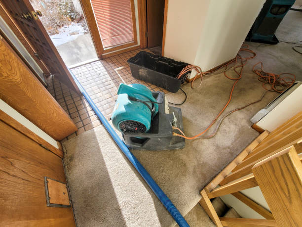 Best Flooded house restoration  in Wabasha, MN