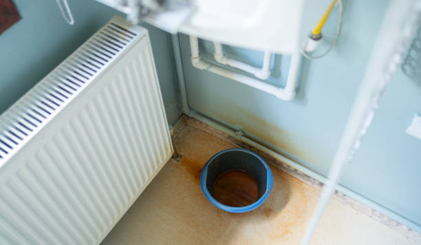 Best Mold removal after water damage  in Wabasha, MN