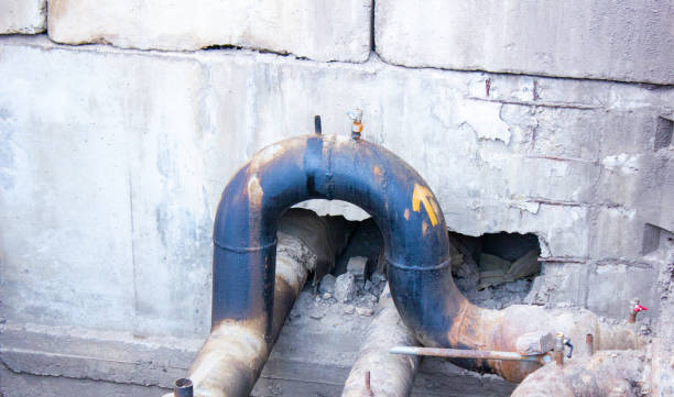 Best Residential water damage restoration  in Wabasha, MN