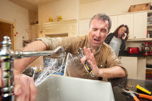 Best Basement water damage restoration  in Wabasha, MN